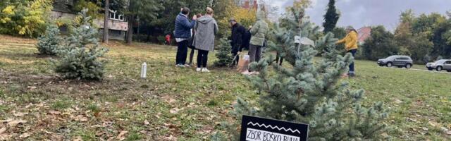 FOTO: Limanci zasadili 16 borića na mestu kod Štranda gde se planira crkva
