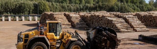 VASTULAUSE | Henrik Välja: kelle huvides on taaselustada metsanduse vastasseisu?