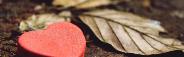 Pärnumaale jõuab kaks AED elustamisaparaati