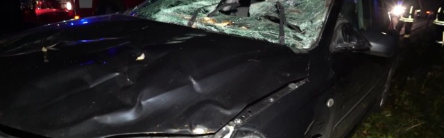 Reporter: Äsja juhtimisõiguse saanud 61-aastane naine sõitis põdrale otsa