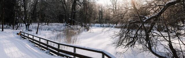 Ministeerium: võib-olla saab metsanduse kliimaeesmärk hoopis täidetud