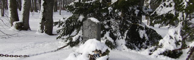 Vabariigi 104.aastapäeva tähistamise kava pakub huvitavaid kontserte