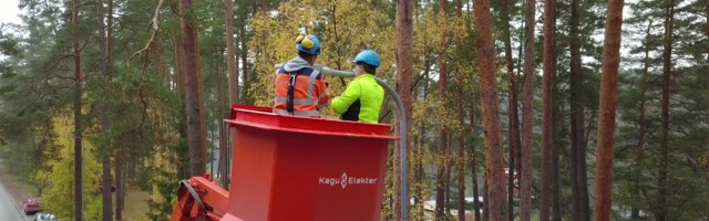 Reporter: Võrust sai baltikumi ainus linn, mille tänavaid valgustatakse kogu ulatuses LED-lampidega