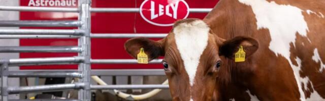 Lely tõi turule kolm uuendust: kaks lüpsirobotit ja andmete kaitselahenduse