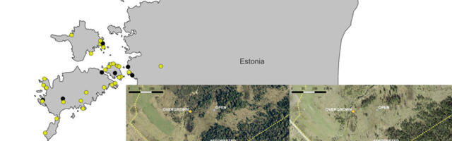 Elisabeth Prangel kaitseb doktoritööd „The impacts of land-use change and ecological restoration on biodiversity and ecosystem service supply in semi-natural grasslands“