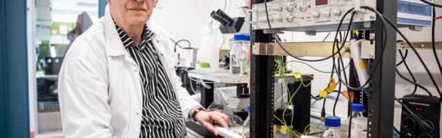 Mart Saarma: me jääme kohati lihtsalt mökutama ja raha tehakse mujal