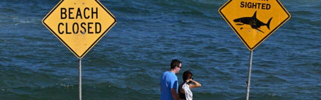 Mis asja on meie väliskomisjonil minna rahva raha eest Austraaliasse