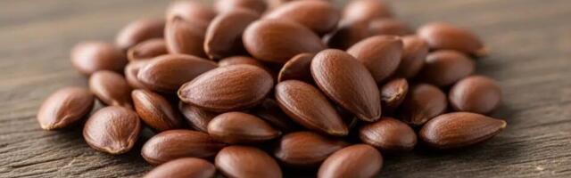 Õunaseeme külmkapis – mida leiad 20 päeva pärast, kui jätad selle sinna seisma