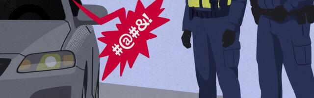 „Panen sulle jalaga näkku, raisk!“ Politseinike sõimamine jõudis riigikohtusse