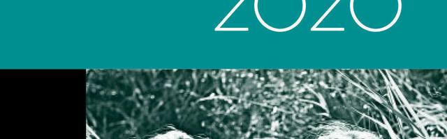 Raamatuarvustus. “Eesti novell 2020” – kirev kokteil