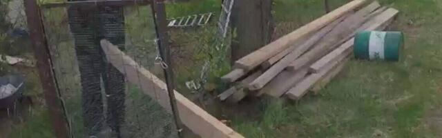 TRUMMAR PEETER JÕGIOJA võitis lotoga meeletu rahasumma: see päästis mu elu