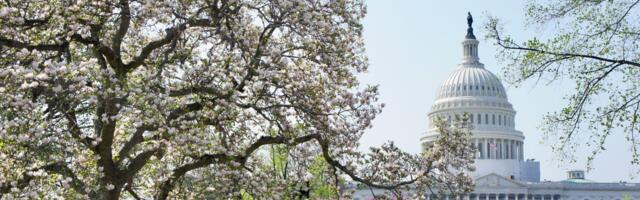 Beth Brelje: USA kongress saab peatada aktivist-kohtunike õigusriigile vaenuliku omavoli