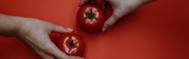 Ettevõte, kus töötajad määravad oma palga ise