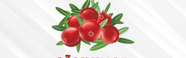 Saage tuttavaks: valimisliit Jõhvikad