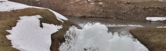 Tiiru suur haare - Riina MÄRKMIK