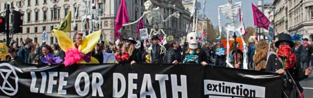 Sõgedus on maailmas haripunkti jõudmas