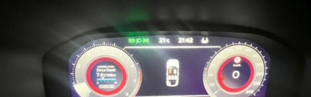 Pilk peale, käsi külge: mitte eriti teravalt nõelav mesilane Nissan Juke