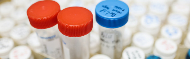 Koroonaviirus Eestis, 6. oktoober: ööpäevaga lisandus 42 positiivset testi