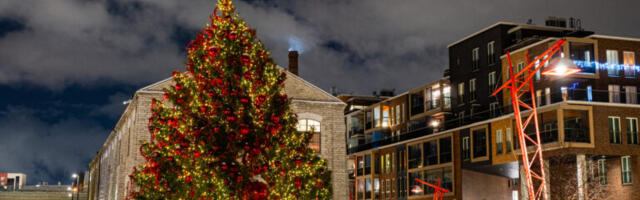 15 рождественских ёлок Эстонии: в каком городе самая красивая?