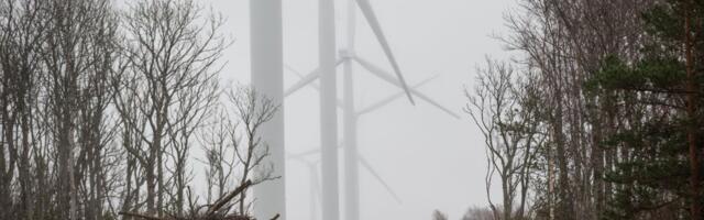 Riik kuulutab välja rekordilise taastuvelektri vähempakkumise