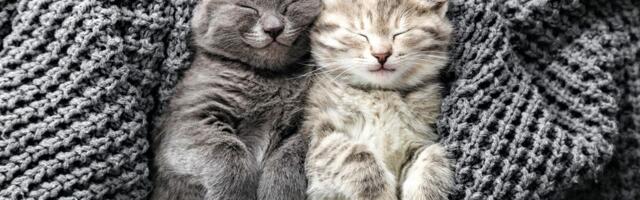 27. aprill: Sõnn ja Kalad hoidku sõprade ligi, Kaaludel ja Kaksikutel töö lausa lendab käes