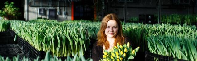 Lilleäri närtsitab hinnatõus: mõtleme, kas lillekasvatusega üldse jätkata