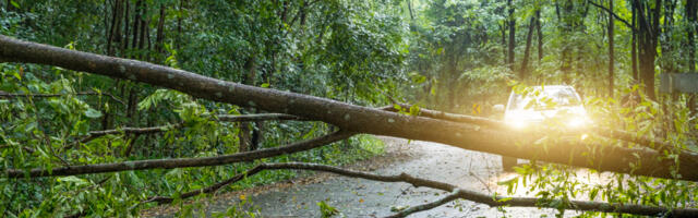 Eestit ootab täna õhtul ees väga tugev torm, päästeamet juhendab, kuidas käituda