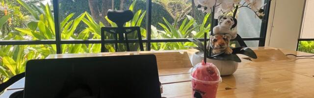 Kariibid, Sri Lanka, Brasiilia – Wise’is võib 90 päeva aastas töötada välismaal