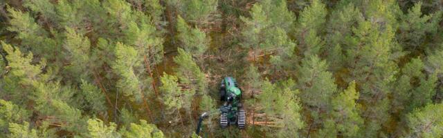RMK koondab andmed riigimetsa kohta mugavalt ühele platvormile