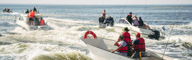 OSALUS- JA SOOJAREKORD | Tuulekala festivalile andis ilme rahvarohkus, tuulevaikus ja troopiline ilm