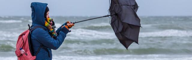 ILMATEADE | Hoiatus! Ilm muutub tormiseks, tuuled kuni 25 m/s räsivad Eestit