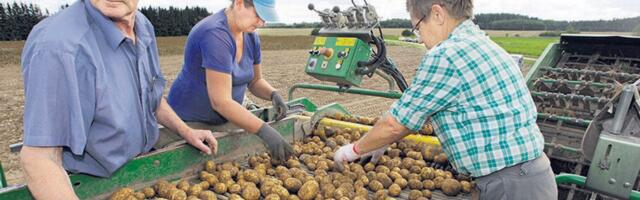 Suri Eesti kartuli- ja köögiviljanduse väsimatu edendaja Ants Einola