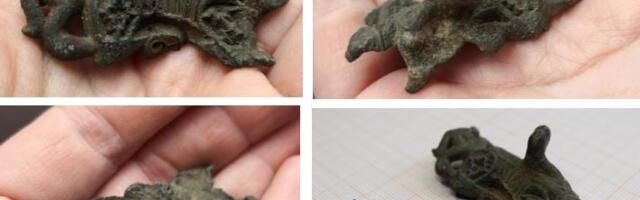 Hobiarheoloog leidis haruldase rauaaegse sõle