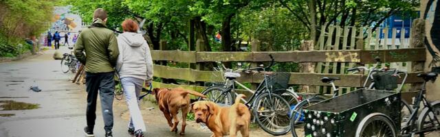 Tähelepanu, valmis olla, start! (toetusega) e-sõidukite soetamist alga nüüd!