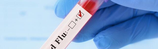 WHO: Hiinas registreeriti maailmas esimene H3N8 linnugripi põhjustatud inimsurm