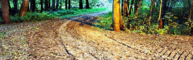 Sütiste metsatuka kaitsjad ei saanud oma kaebusele keskkonnaametist õigust