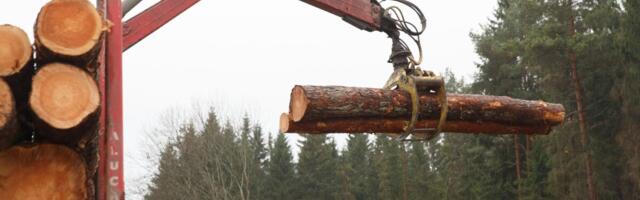 Metsavarujate TOP: 20 suurima käibega ettevõtet