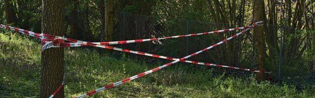 «Ärge spekuleerige!» Metsast leitud surnud beebi ema astub Suurbritannias kohtu ette