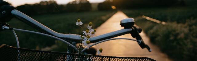 Tõrva Tule-Päevad sai avastardi juubeliaasta RattaÖö osalejate rekordiga!