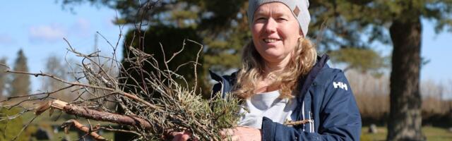 Läänlased käärivad talgupäeval käised üles, et tööle pihta anda