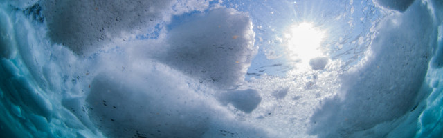 Peter Pedak: jääminek. Kooliõpetaja kolumn