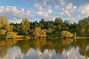 Hästi väljapeetud paus