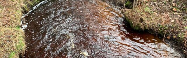 Professor ERRis: Viimsi on põhjavee nappuses esirinnas