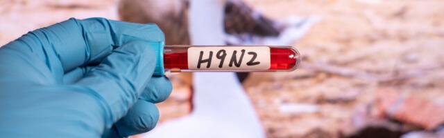 WHO kinnitas India lapse linnugripi juhtumit