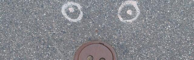 Väikevend NÄDALA FOTO