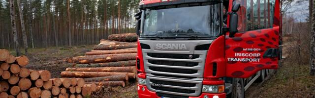 Teeme metsamaa müügi lihtsaks – usaldusväärne partner metsamajanduses