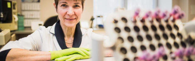 Pühadeaegne elustiil võib mõjutada maksa tervisenäitajaid