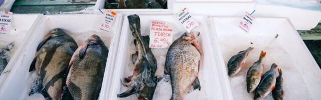 TURUHINNAD | Värske kala vallutab turud: valik lai ja hinnad soodsad