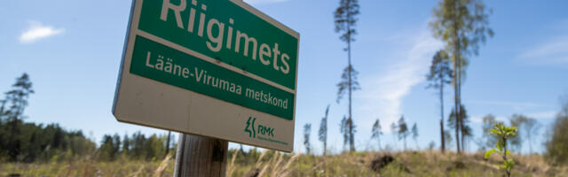 Keskkonnaühendused nõuavad keskkonnaminister Erki Savisaare viivitamatut tagasiastumist