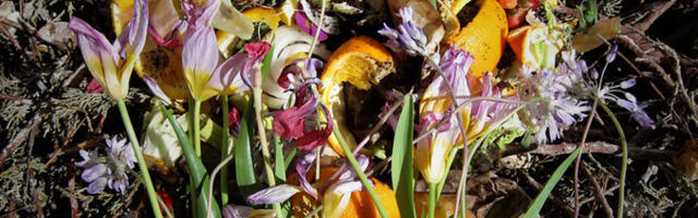 Californias hakatakse kliimamuutustega võitlemiseks inimeste surnukehasid komposteerima